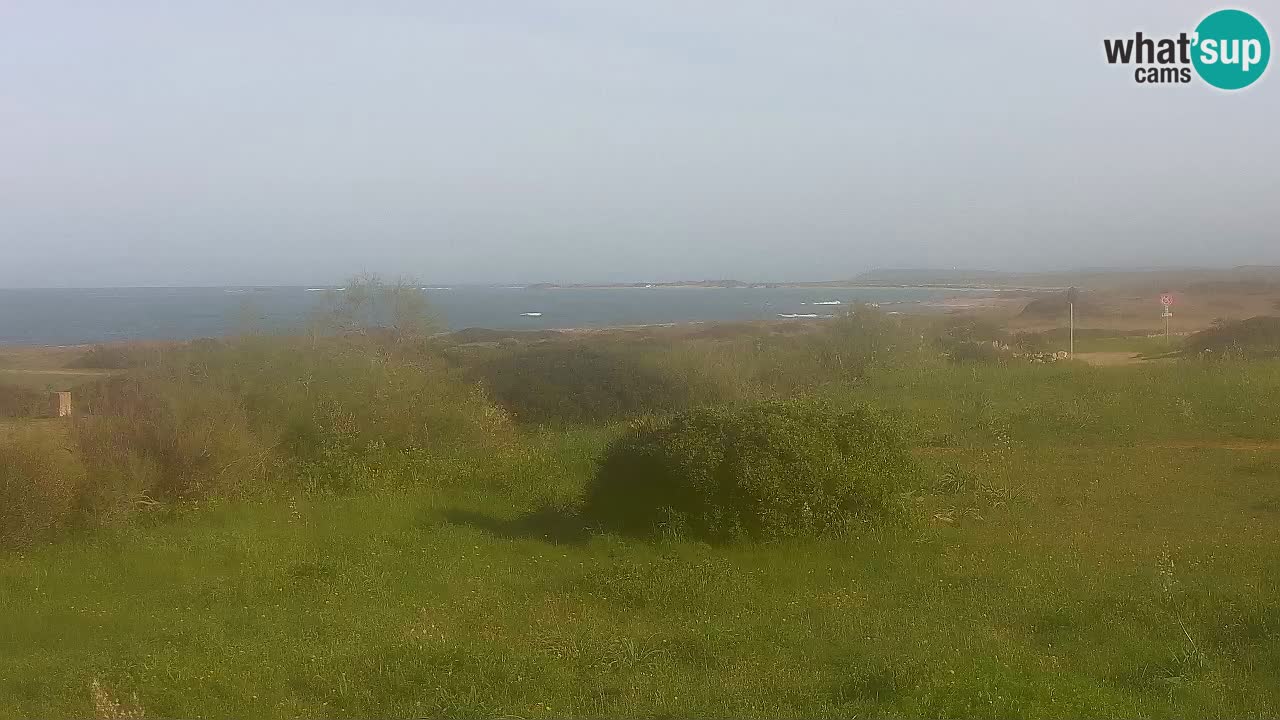 Plaža Mari Ermi | Is Arutas – Oristano