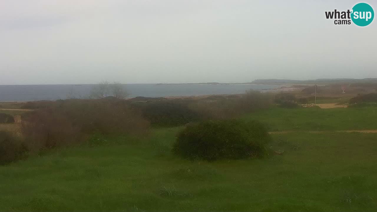 Spiaggia Mari Ermi | Is Arutas – Oristano