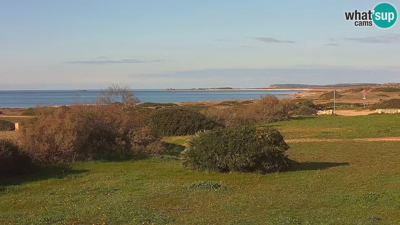 Plaža Mari Ermi | Is Arutas – Oristano