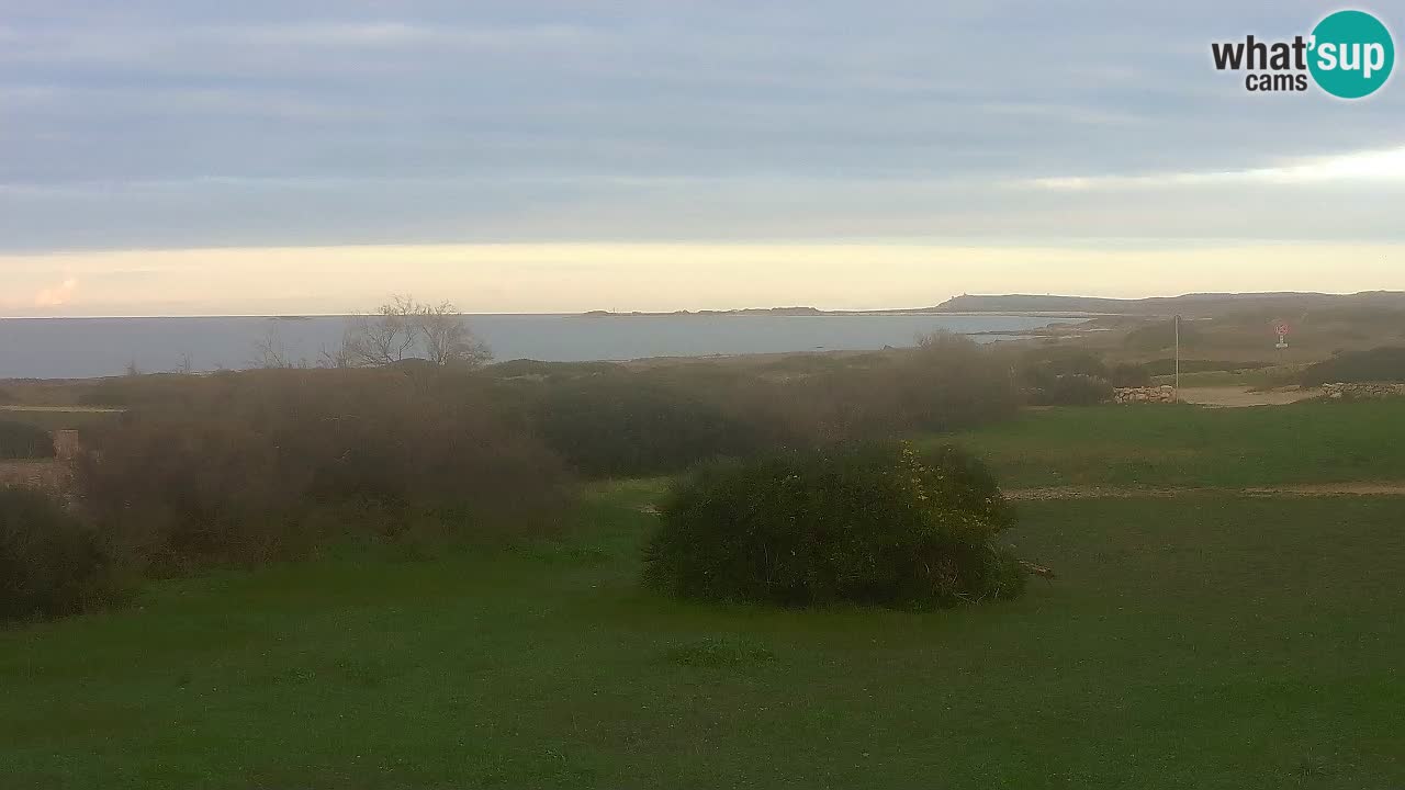 Spiaggia Mari Ermi | Is Arutas – Oristano