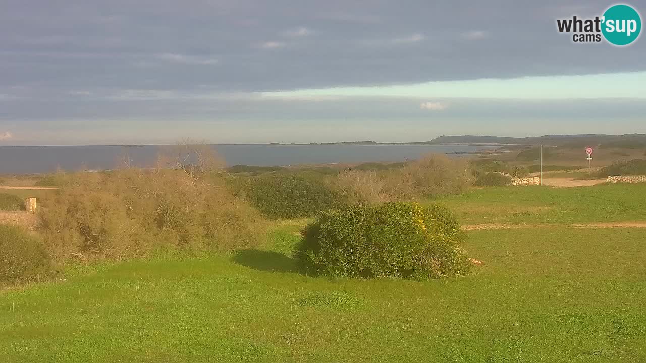 Plaža Mari Ermi | Is Arutas – Oristano