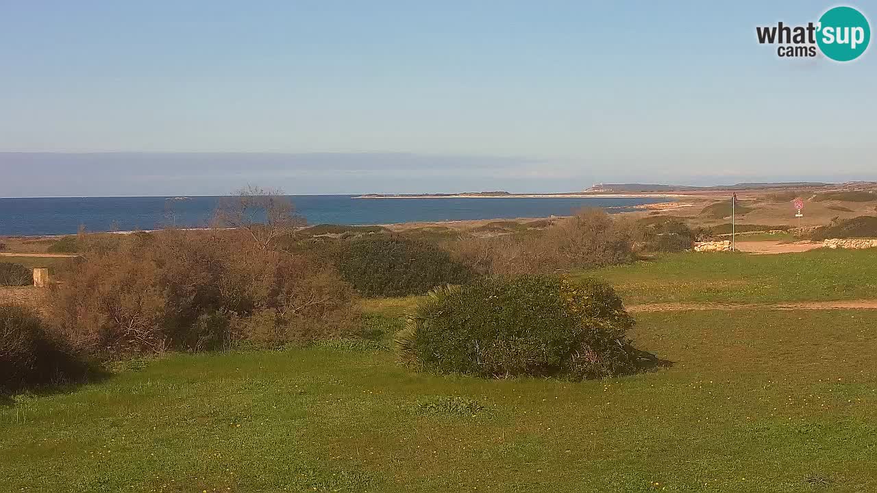Playa Mari Ermi | Is Arutas – Oristano