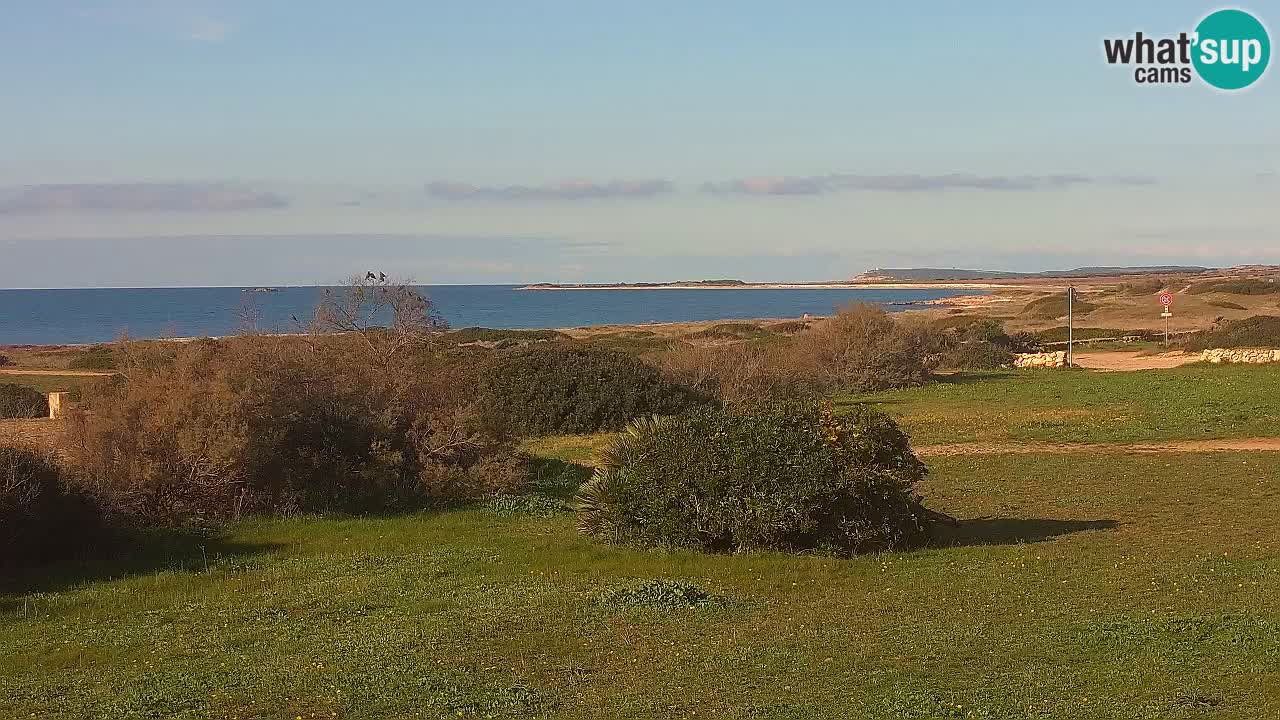 Plaža Mari Ermi | Is Arutas – Oristano