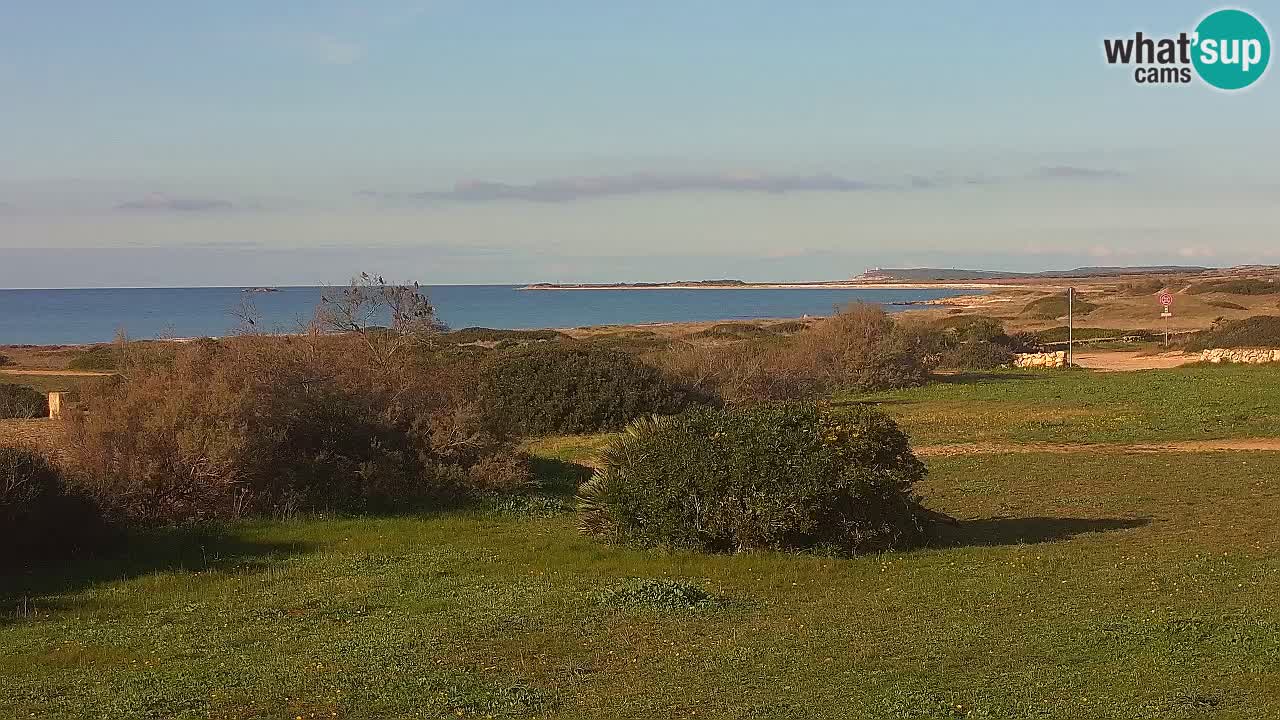 Spiaggia Mari Ermi | Is Arutas – Oristano