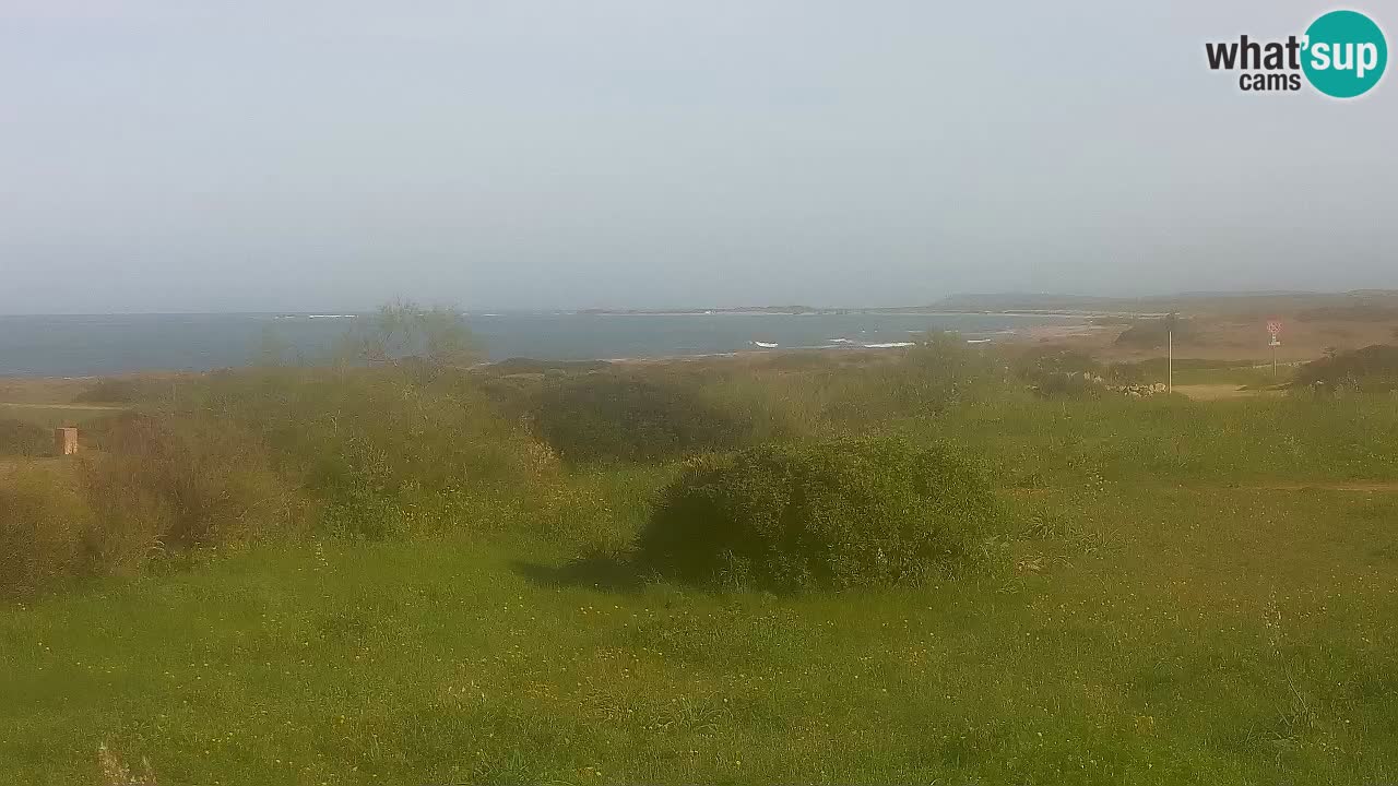 Plage Mari Ermi | Is Arutas – Oristano