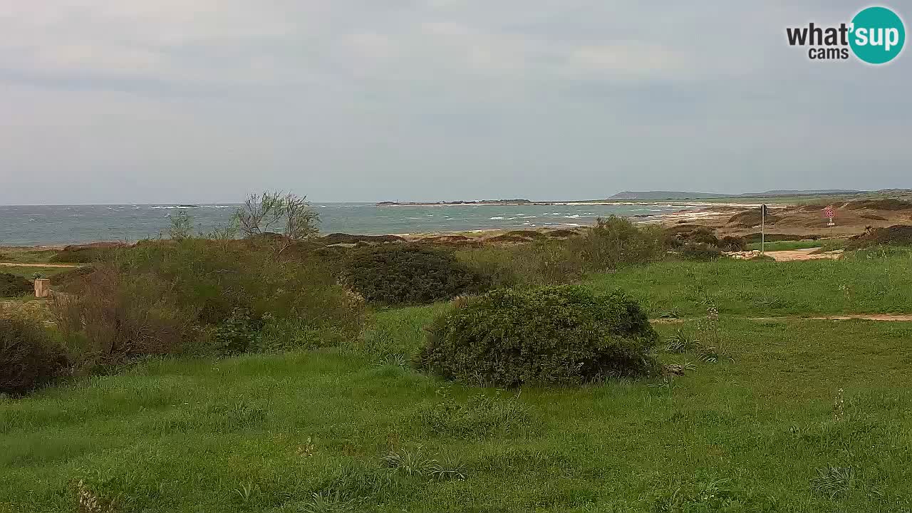 Spiaggia Mari Ermi | Is Arutas – Oristano