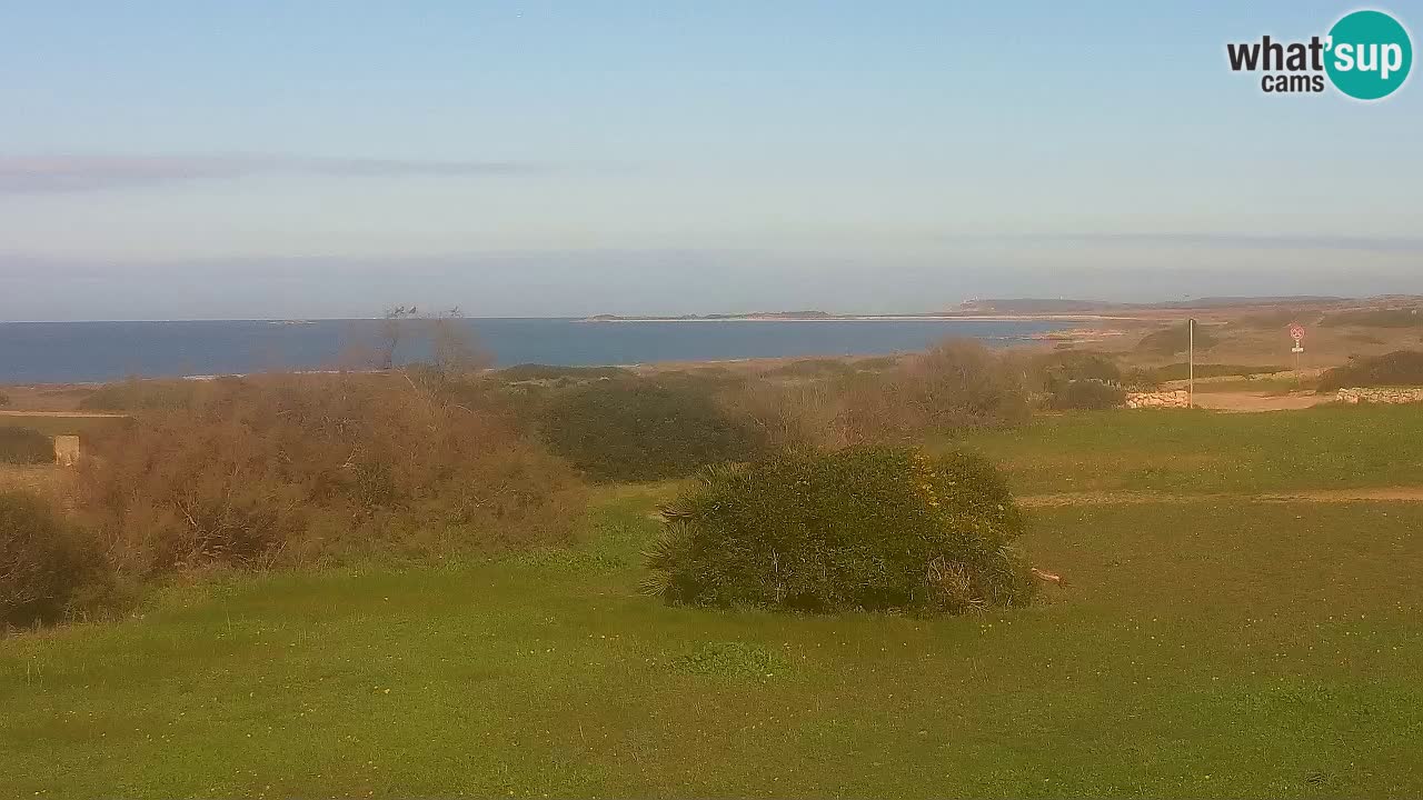 Playa Mari Ermi | Is Arutas – Oristano
