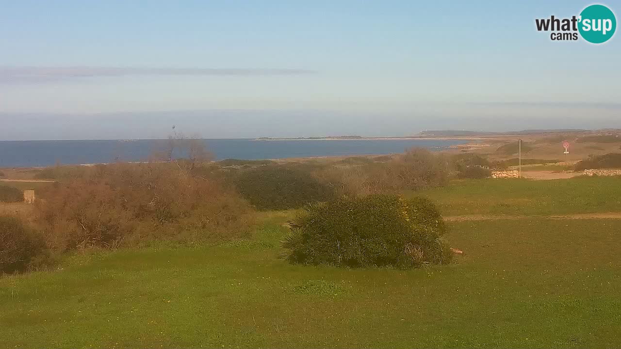 Playa Mari Ermi | Is Arutas – Oristano