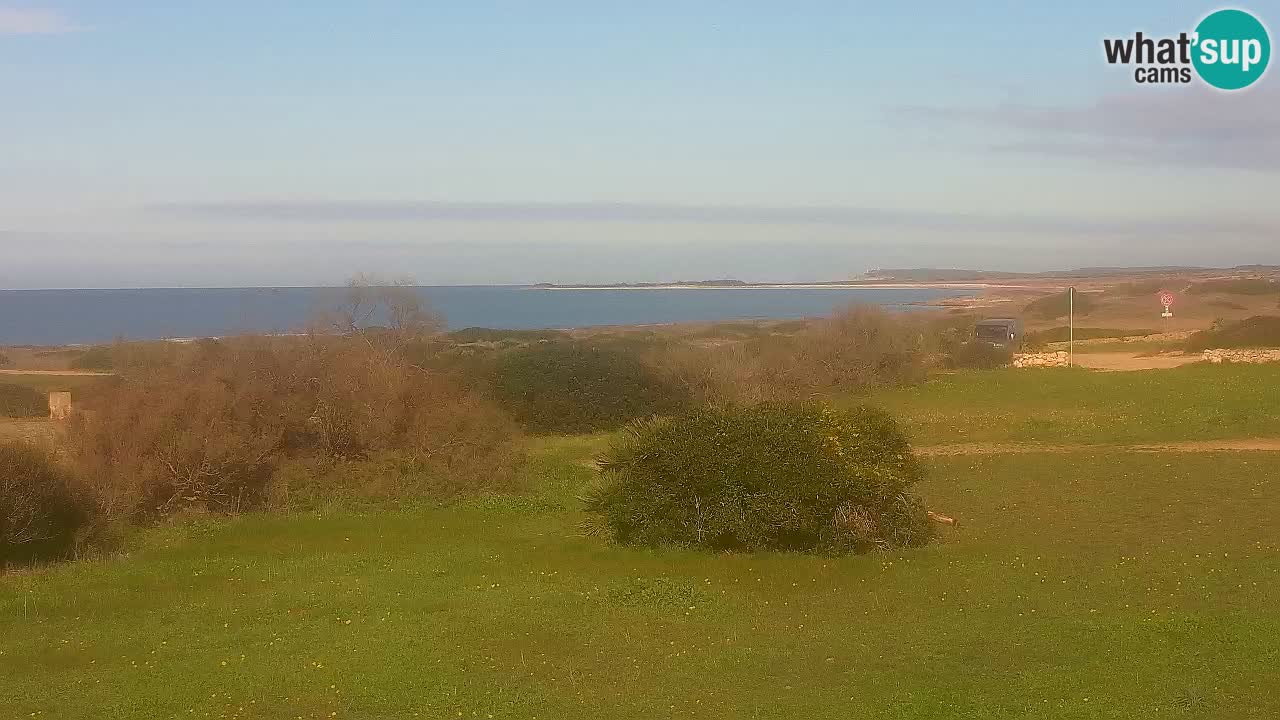 Plaža Mari Ermi | Is Arutas – Oristano