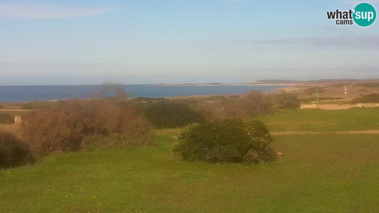 Mari Ermi Strand | Is Arutas – Oristano