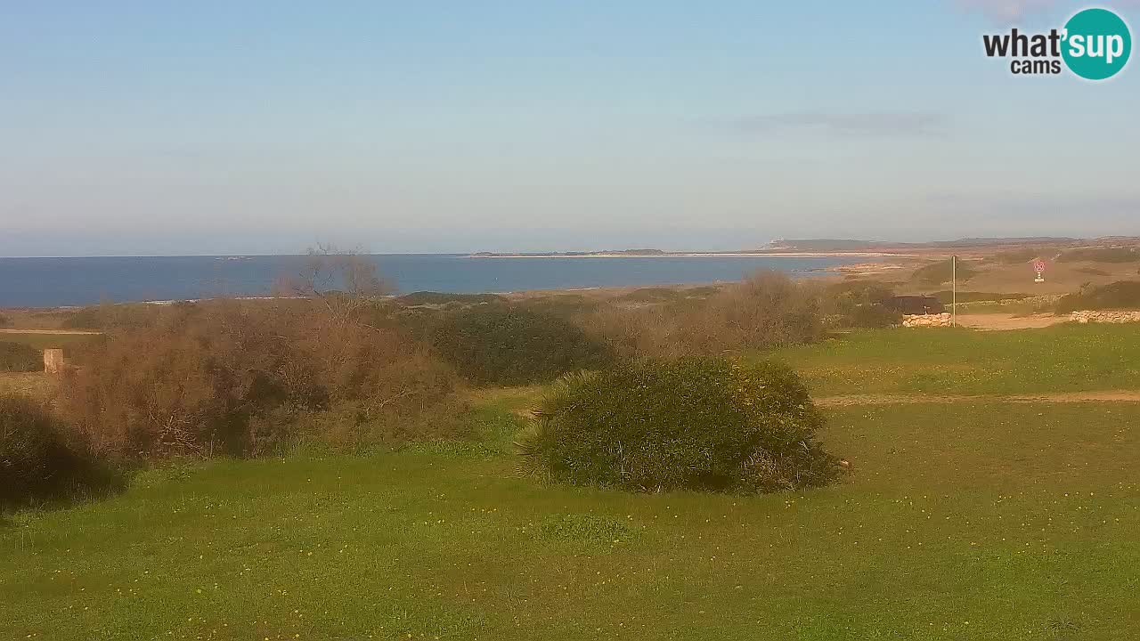 Playa Mari Ermi | Is Arutas – Oristano