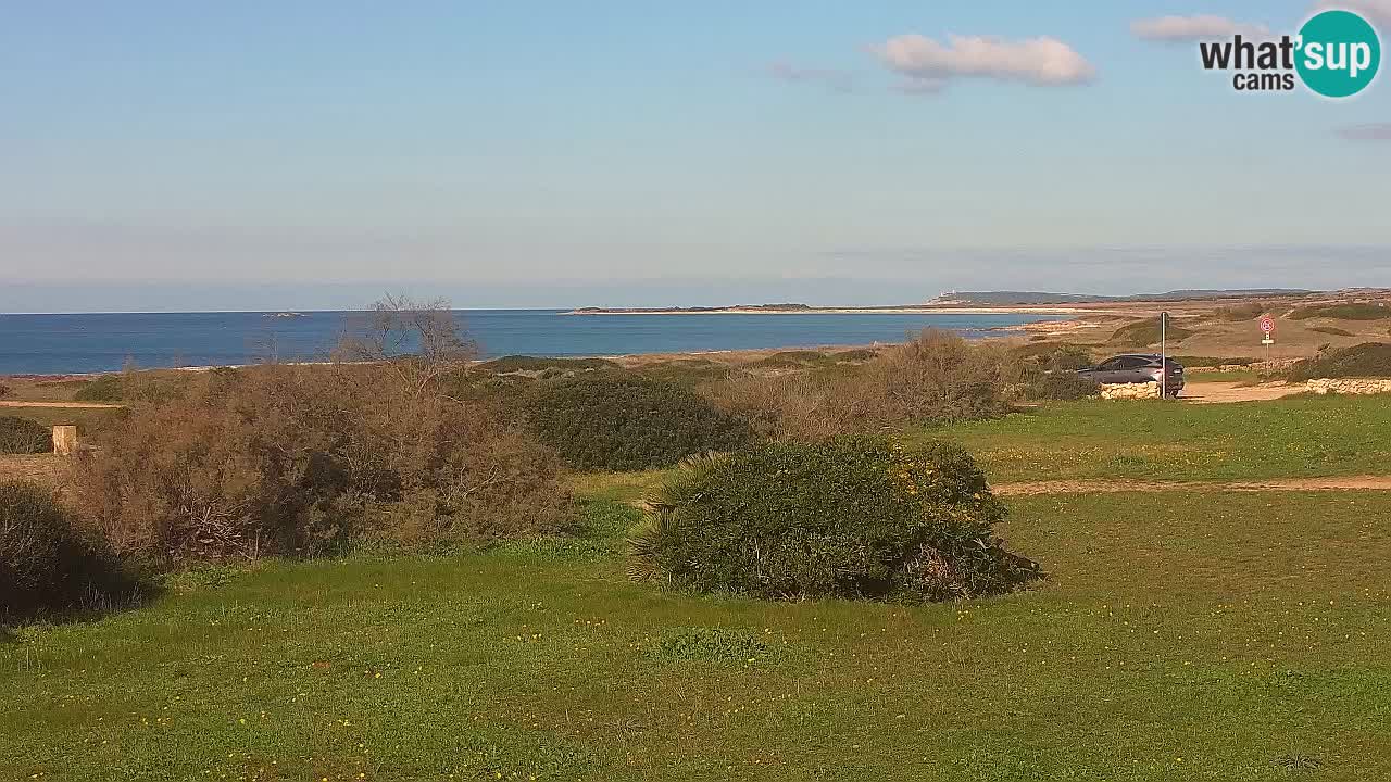 Spiaggia Mari Ermi | Is Arutas – Oristano