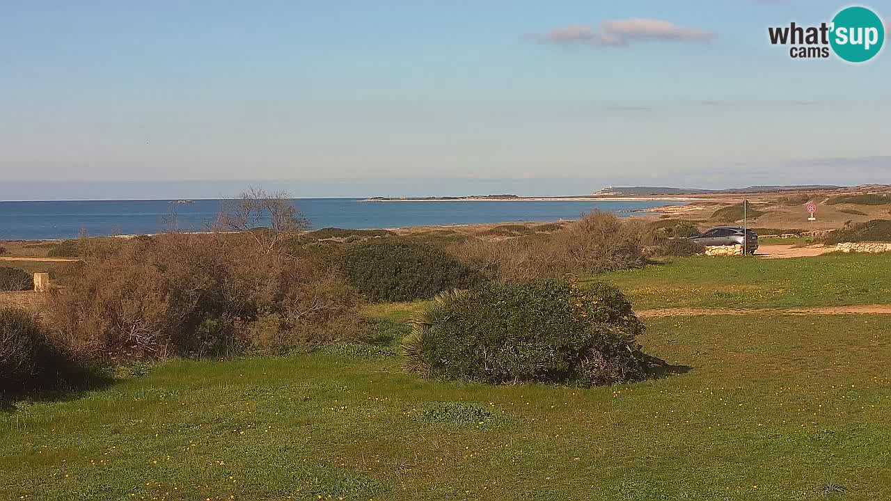 Playa Mari Ermi | Is Arutas – Oristano
