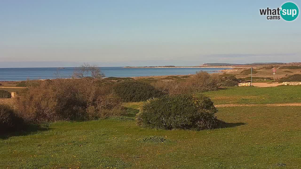 Plaža Mari Ermi | Is Arutas – Oristano