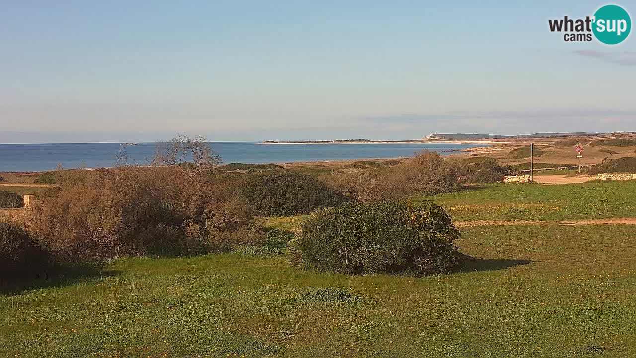 Playa Mari Ermi | Is Arutas – Oristano