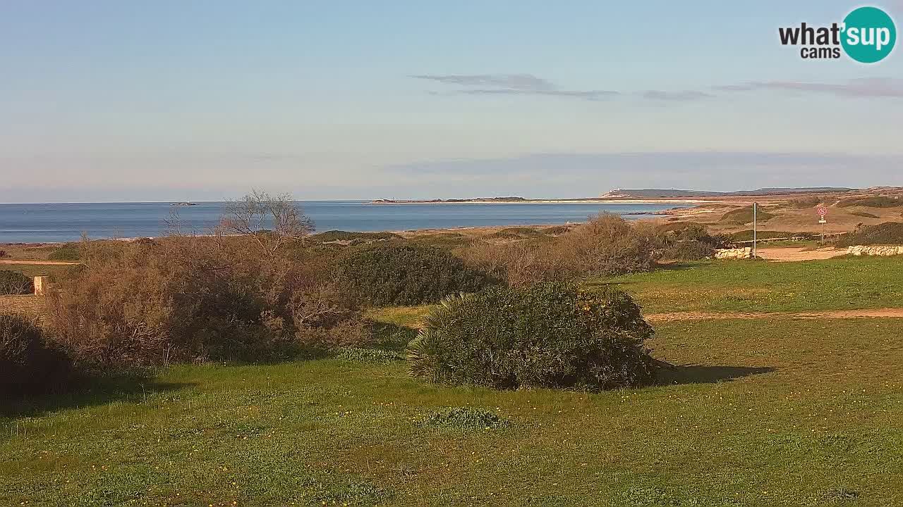 Mari Ermi Strand | Is Arutas – Oristano
