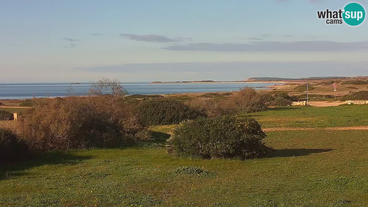 Plage Mari Ermi | Is Arutas – Oristano