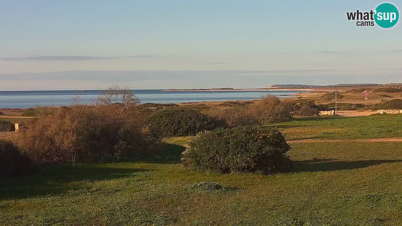 Playa Mari Ermi | Is Arutas – Oristano