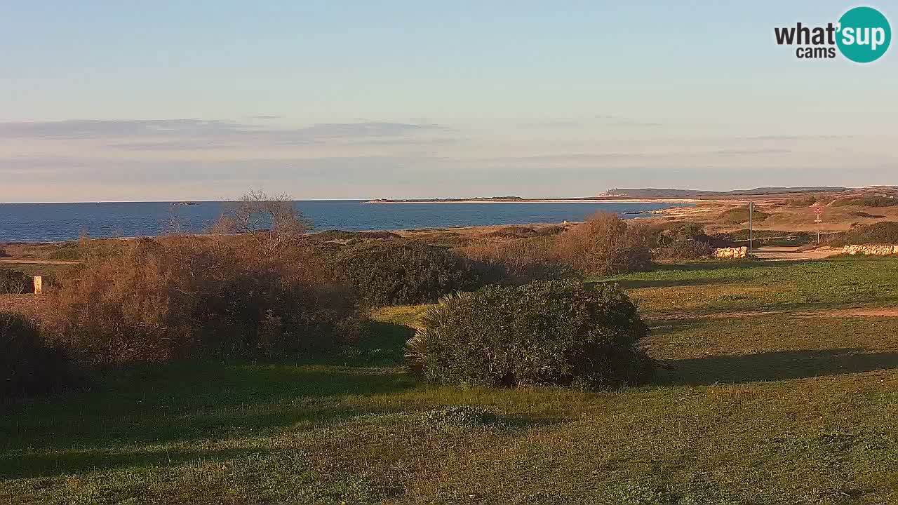 Plage Mari Ermi | Is Arutas – Oristano