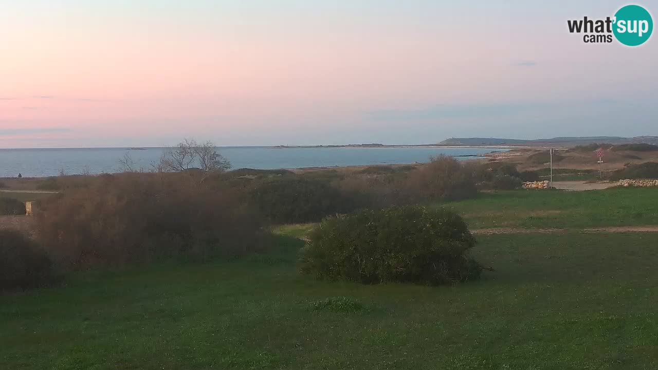 Mari Ermi Strand | Is Arutas – Oristano