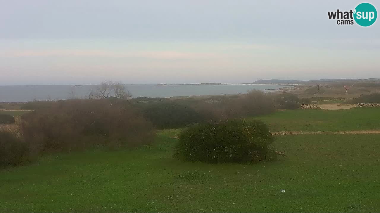 Plaža Mari Ermi | Is Arutas – Oristano