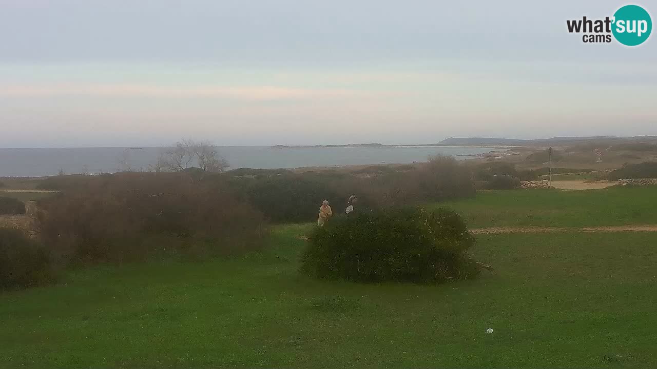 Plaža Mari Ermi | Is Arutas – Oristano