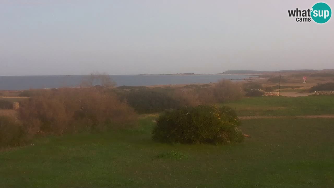 Playa Mari Ermi | Is Arutas – Oristano