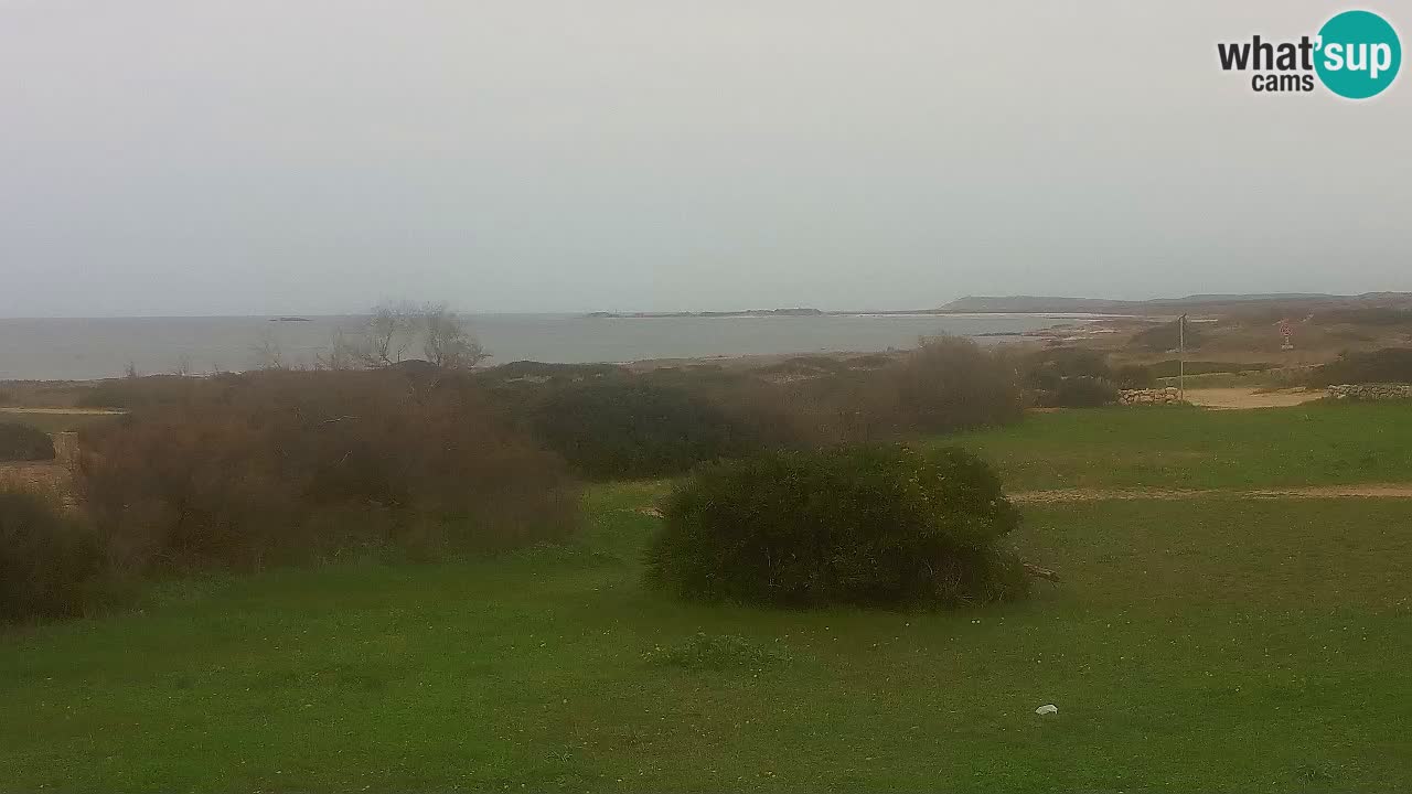 Playa Mari Ermi | Is Arutas – Oristano