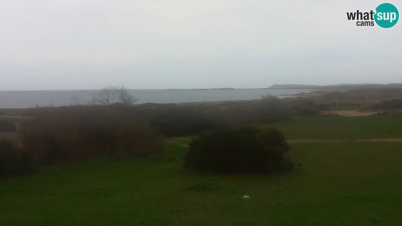 Mari Ermi Strand | Is Arutas – Oristano