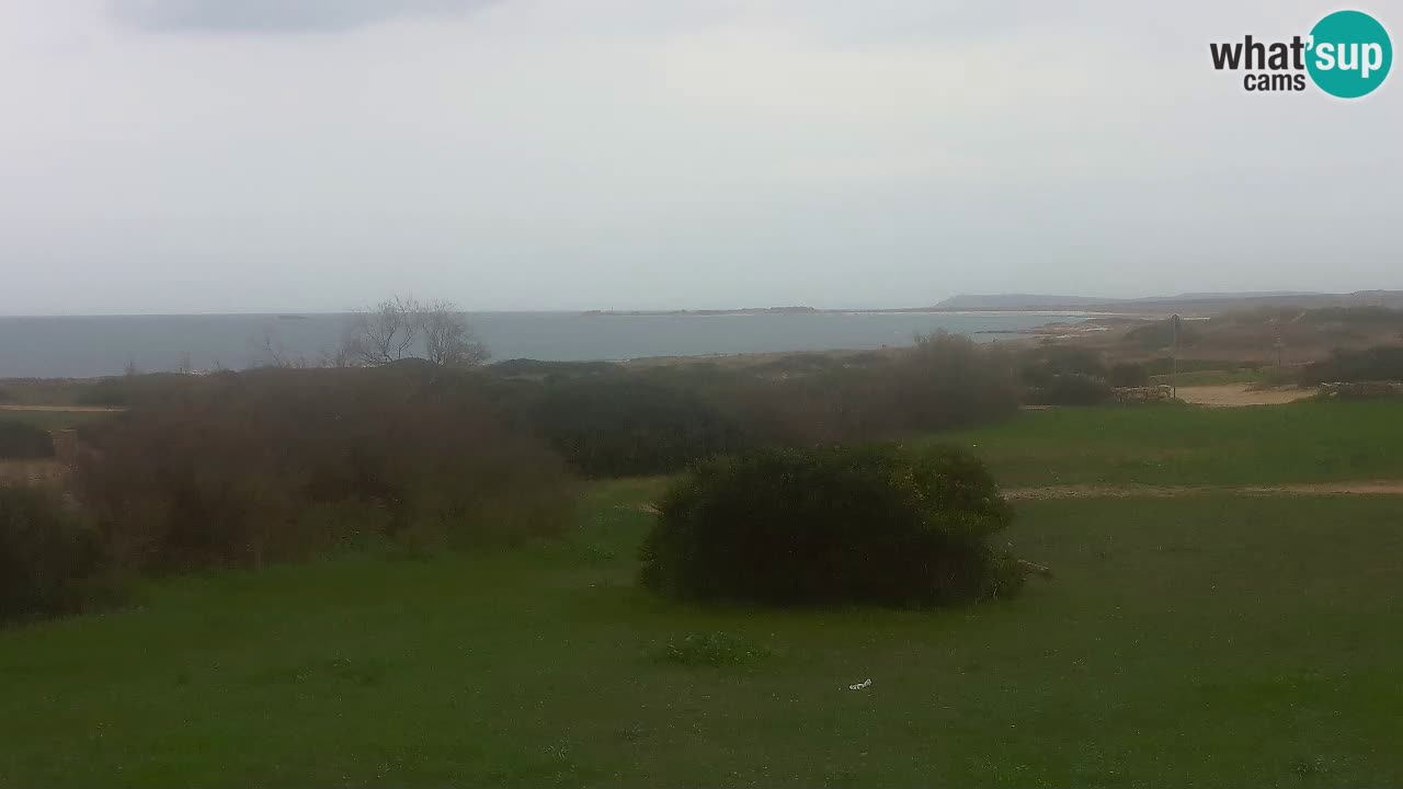 Spiaggia Mari Ermi | Is Arutas – Oristano