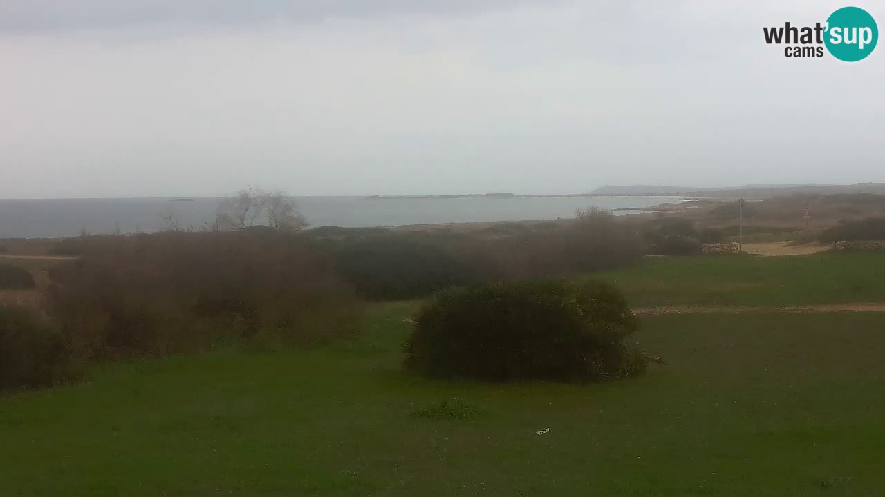 Plaža Mari Ermi | Is Arutas – Oristano