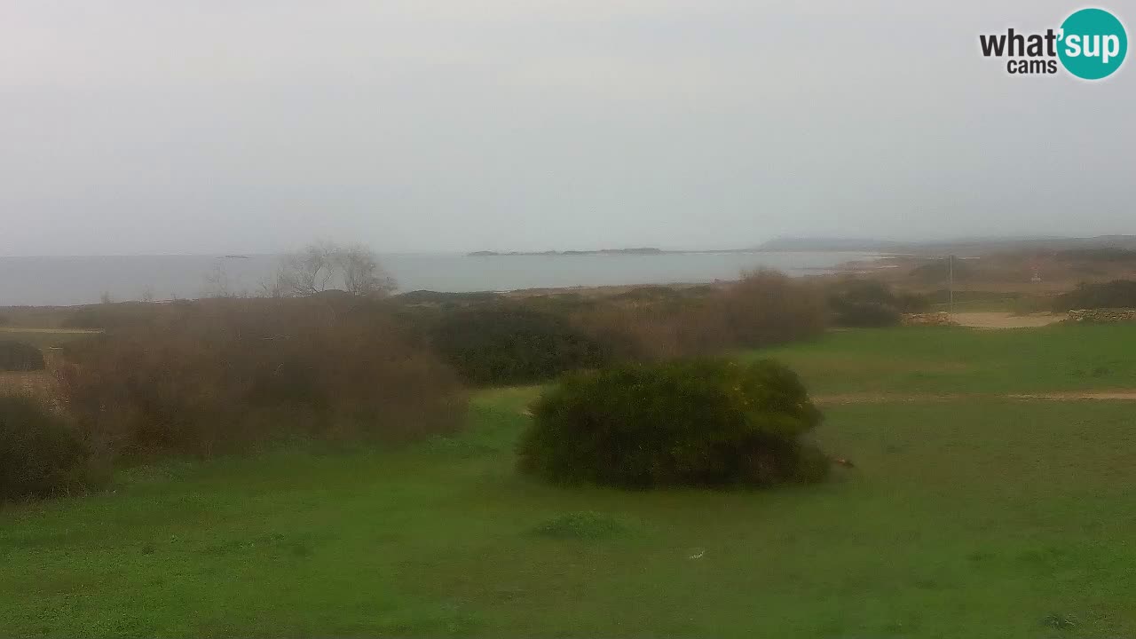 Plaža Mari Ermi | Is Arutas – Oristano