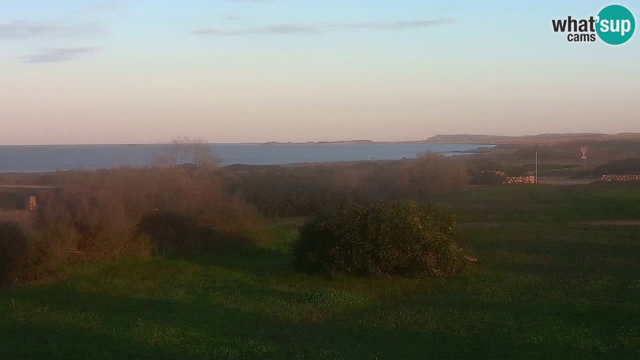 Plaža Mari Ermi | Is Arutas – Oristano