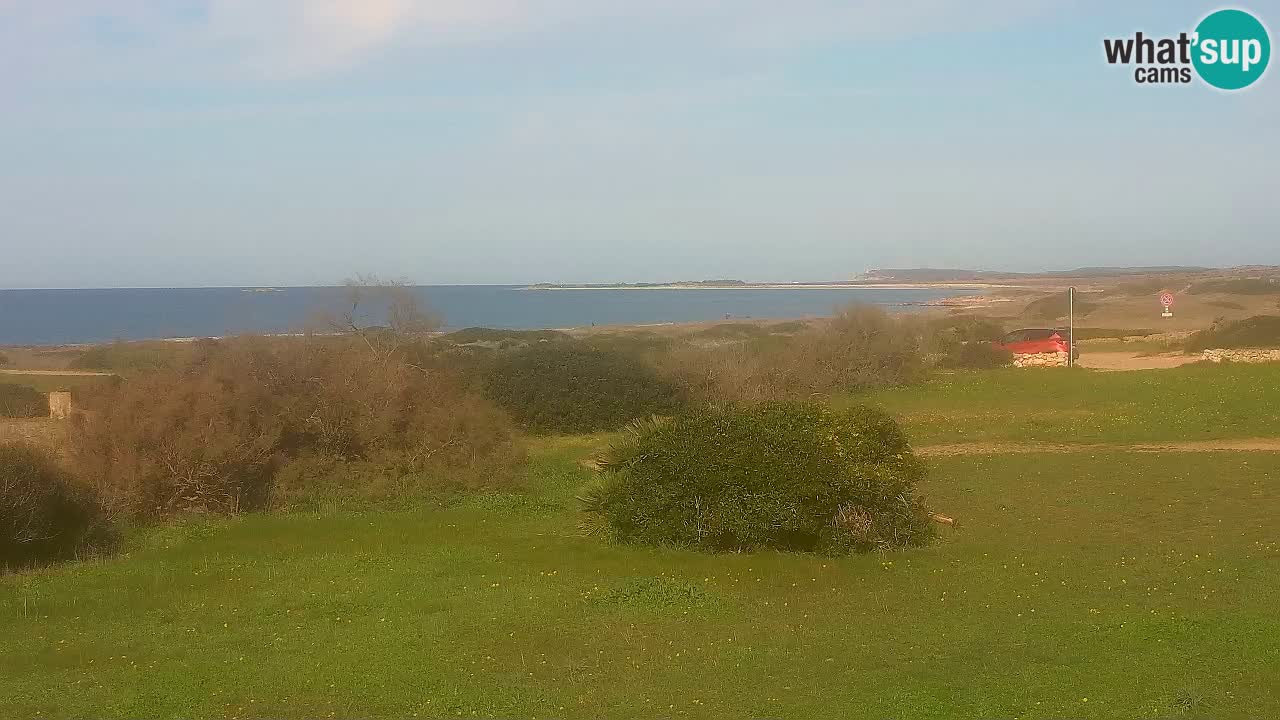 Spiaggia Mari Ermi | Is Arutas – Oristano