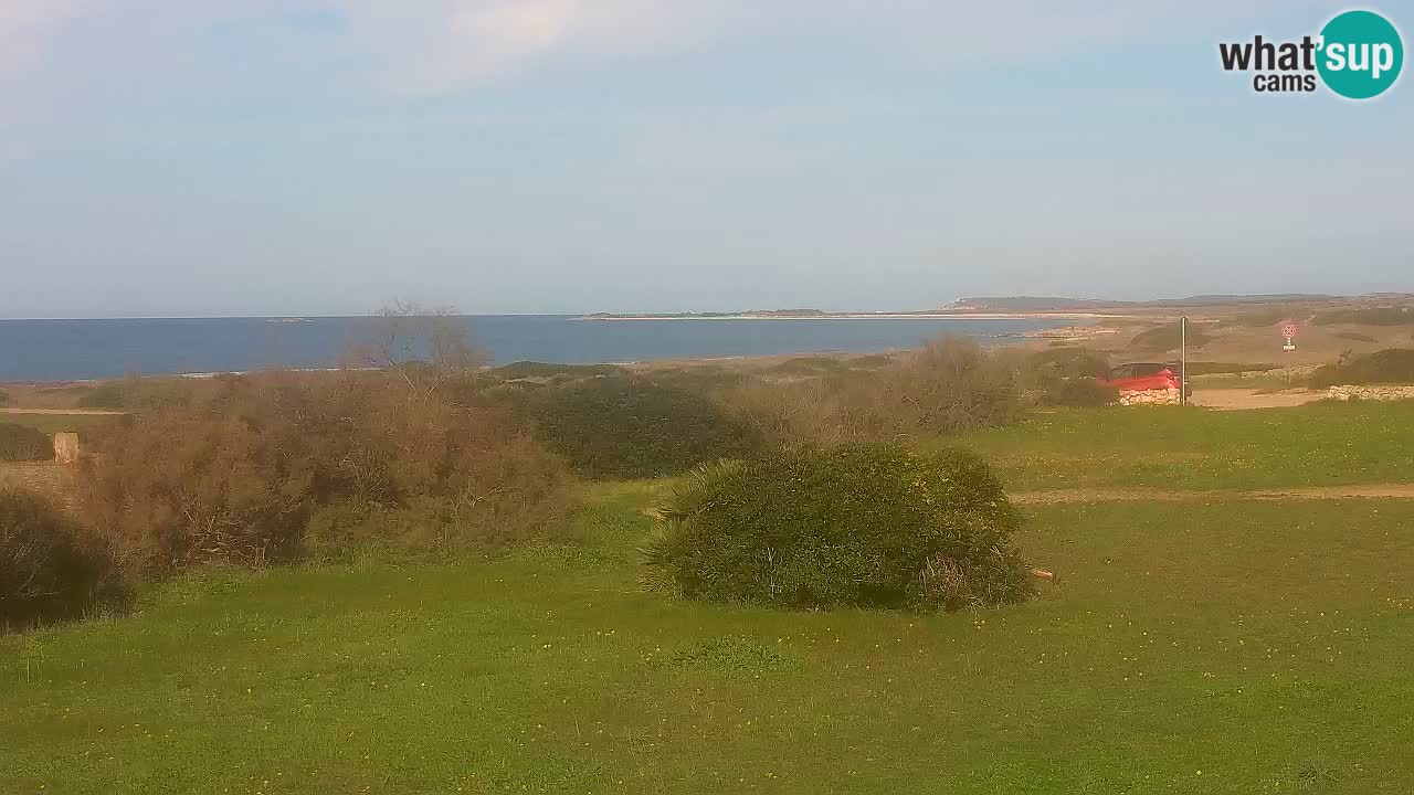 Plaža Mari Ermi | Is Arutas – Oristano