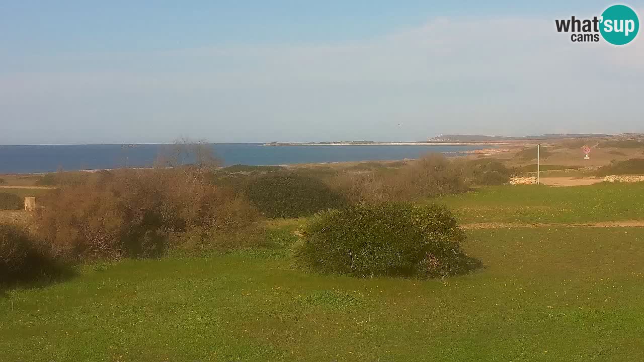 Spiaggia Mari Ermi | Is Arutas – Oristano