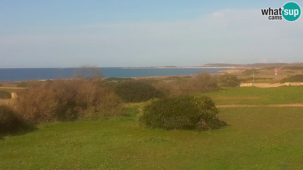 Spiaggia Mari Ermi | Is Arutas – Oristano