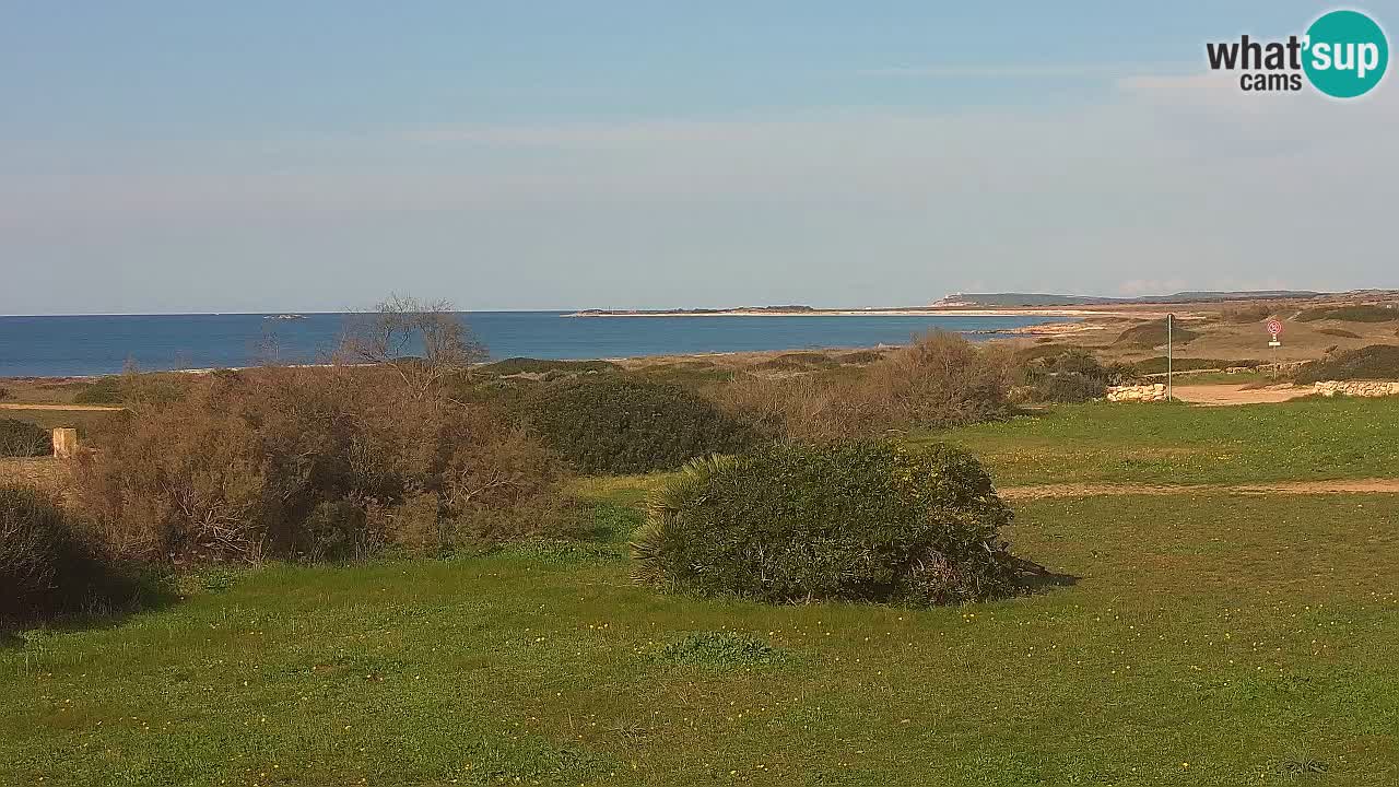 Mari Ermi Strand | Is Arutas – Oristano