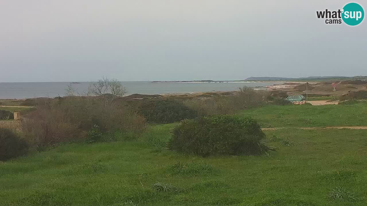 Playa Mari Ermi | Is Arutas – Oristano