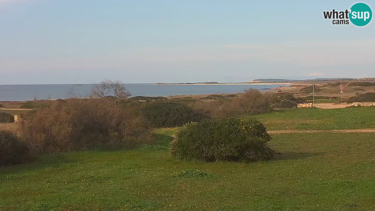 Mari Ermi Strand | Is Arutas – Oristano