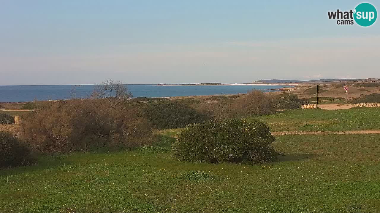 Plaža Mari Ermi | Is Arutas – Oristano