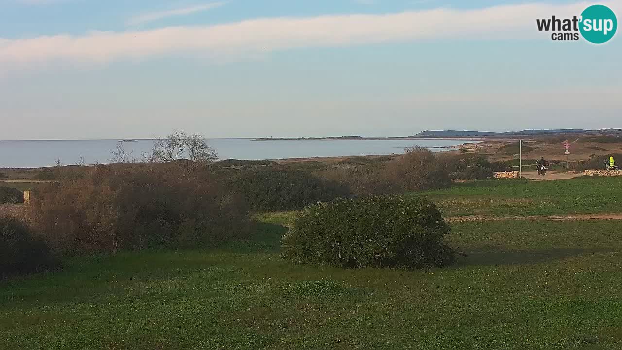 Plaža Mari Ermi | Is Arutas – Oristano