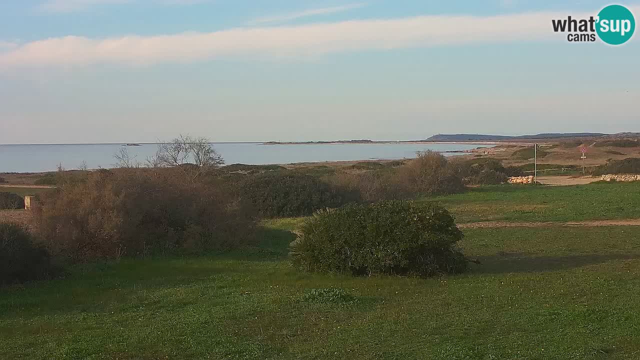 Playa Mari Ermi | Is Arutas – Oristano