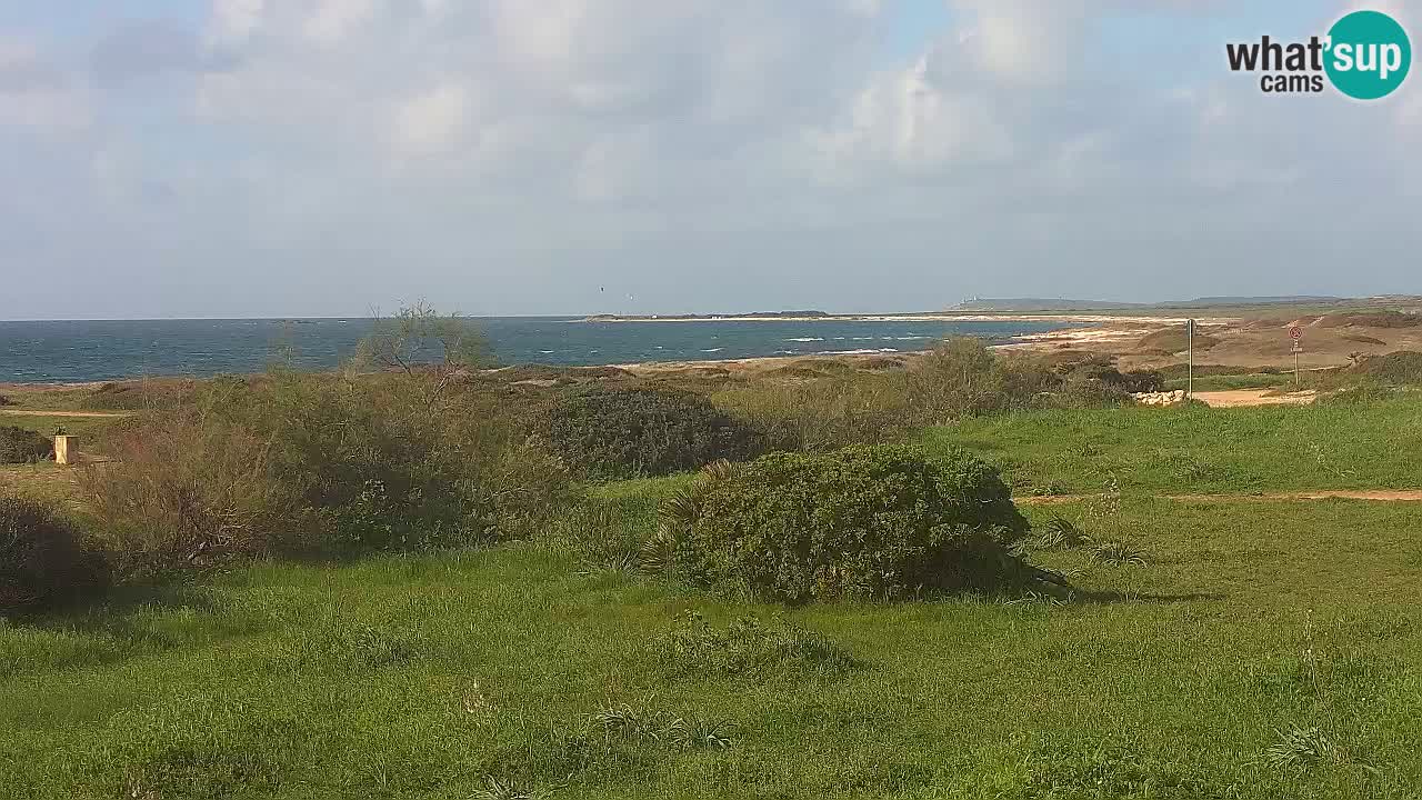 Playa Mari Ermi | Is Arutas – Oristano