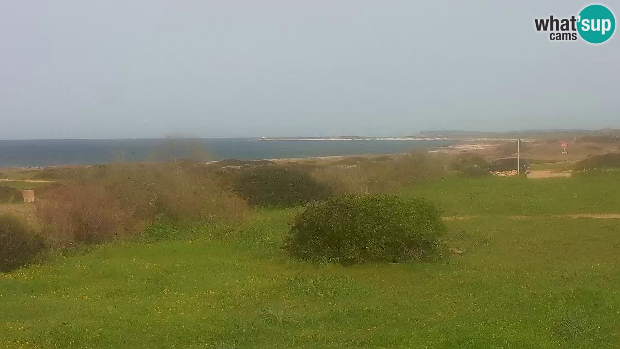 Plaža Mari Ermi | Is Arutas – Oristano