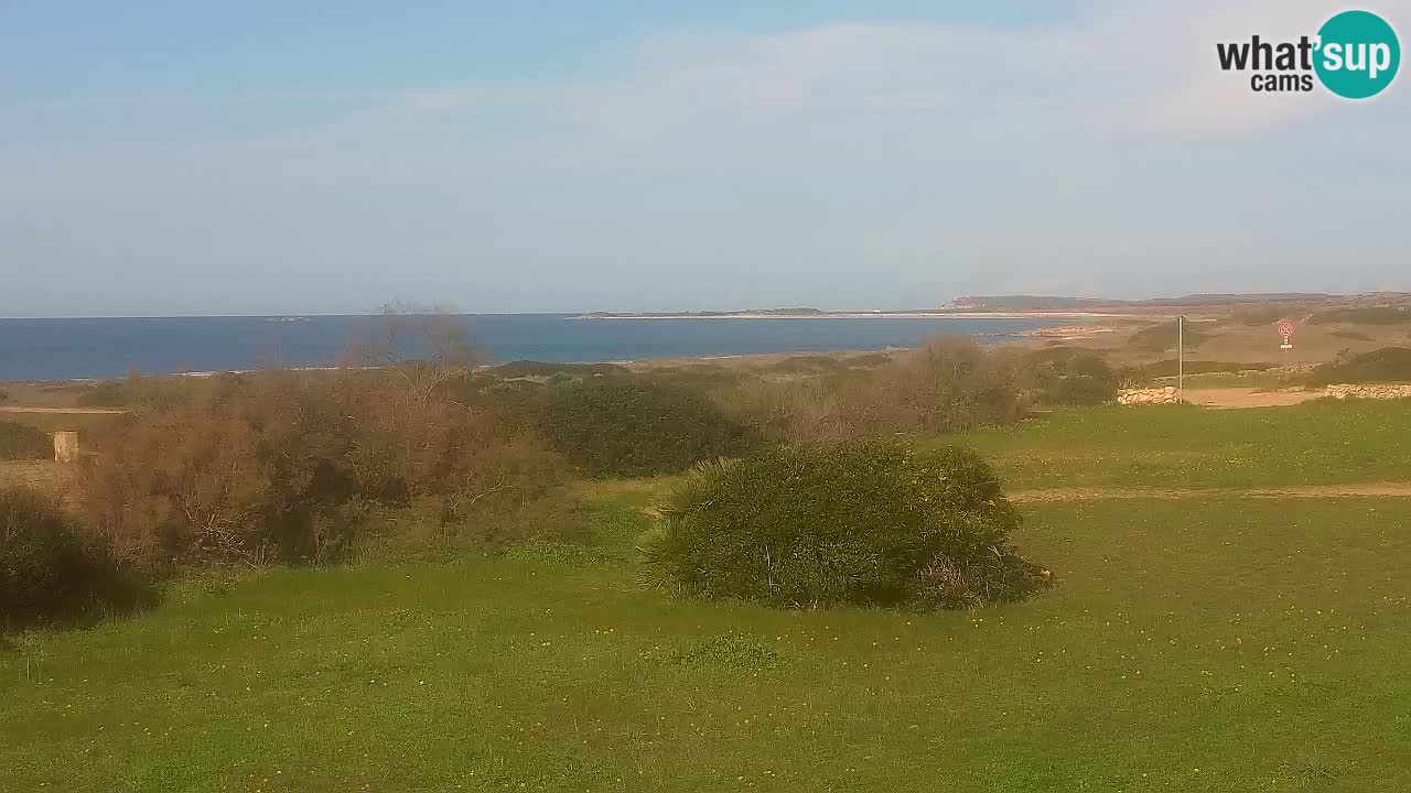 Playa Mari Ermi | Is Arutas – Oristano