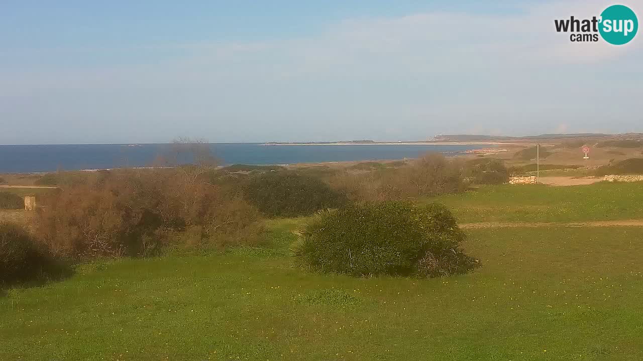 Spiaggia Mari Ermi | Is Arutas – Oristano