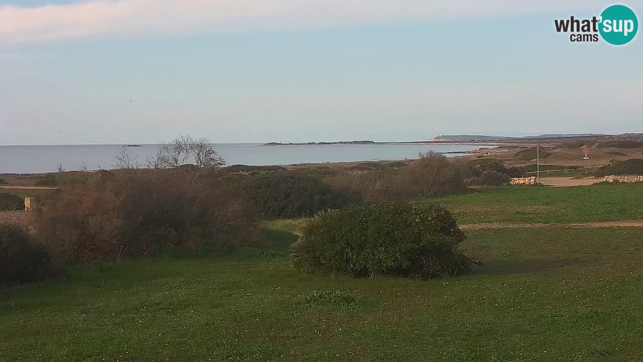 Playa Mari Ermi | Is Arutas – Oristano