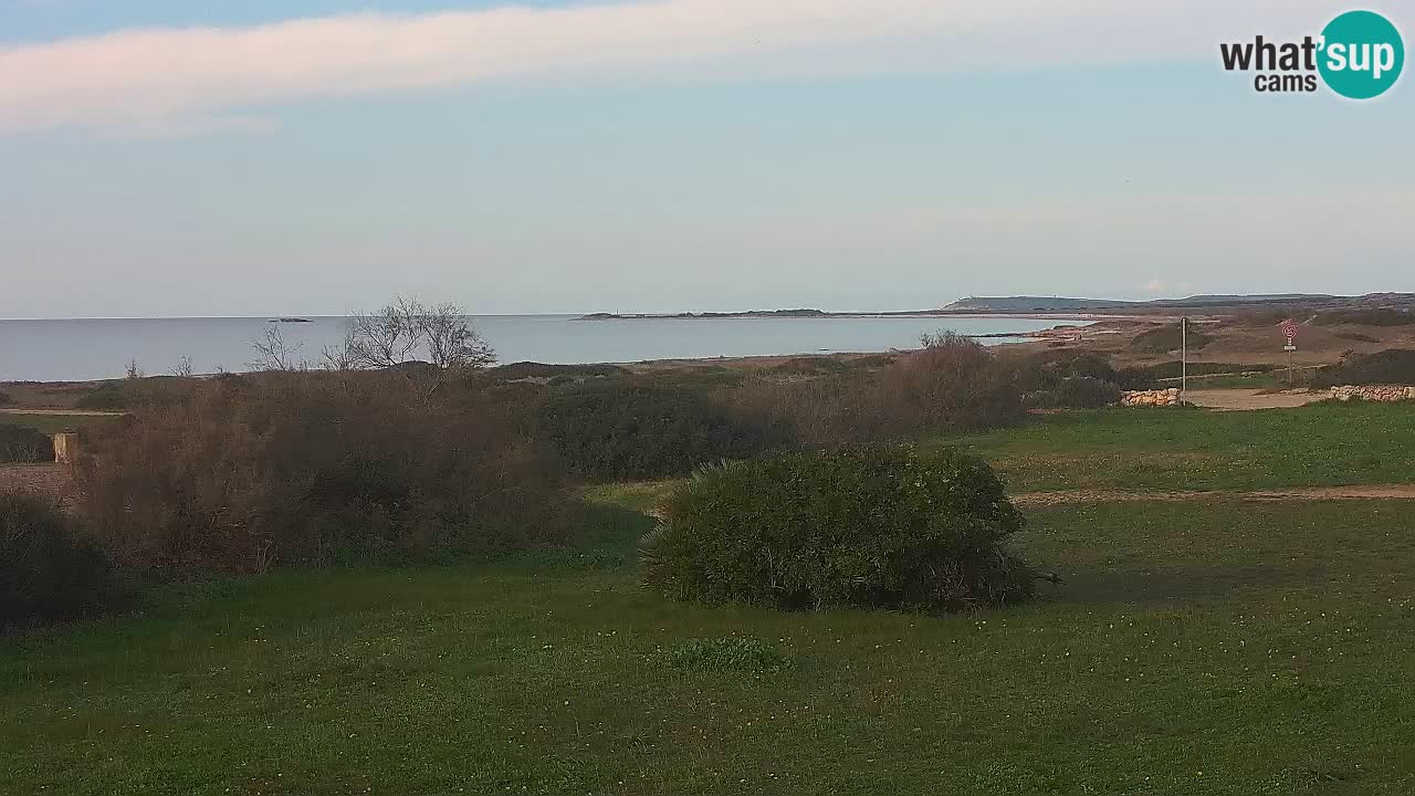 Plage Mari Ermi | Is Arutas – Oristano