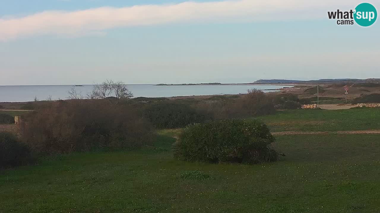 Mari Ermi Strand | Is Arutas – Oristano